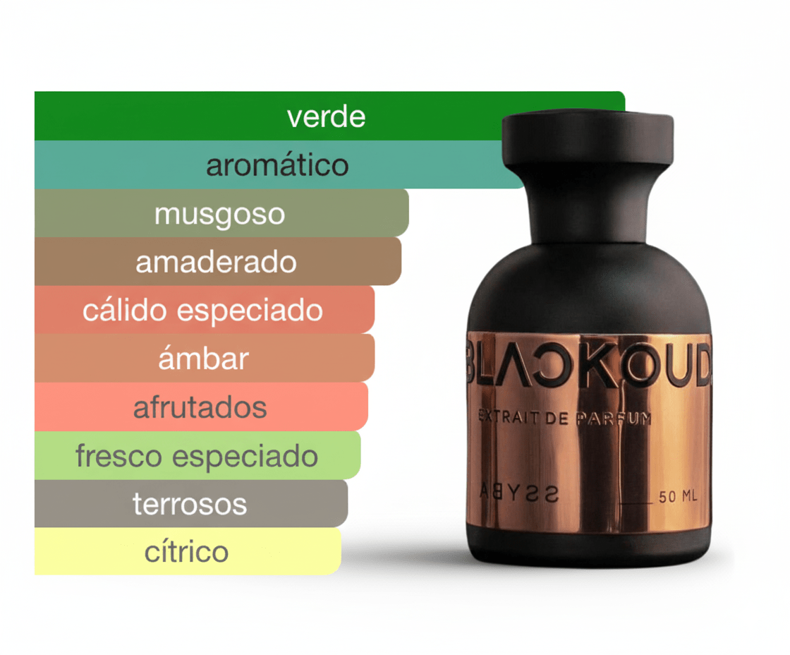 PERFUME BLACKOUD ABYSS - Perfumería Millennio
