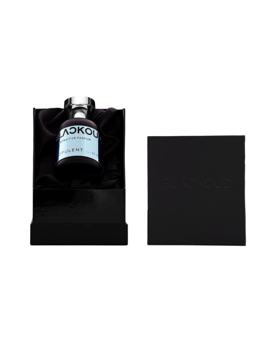 PERFUME BLACKOUD OPULENT - Perfumería Millennio