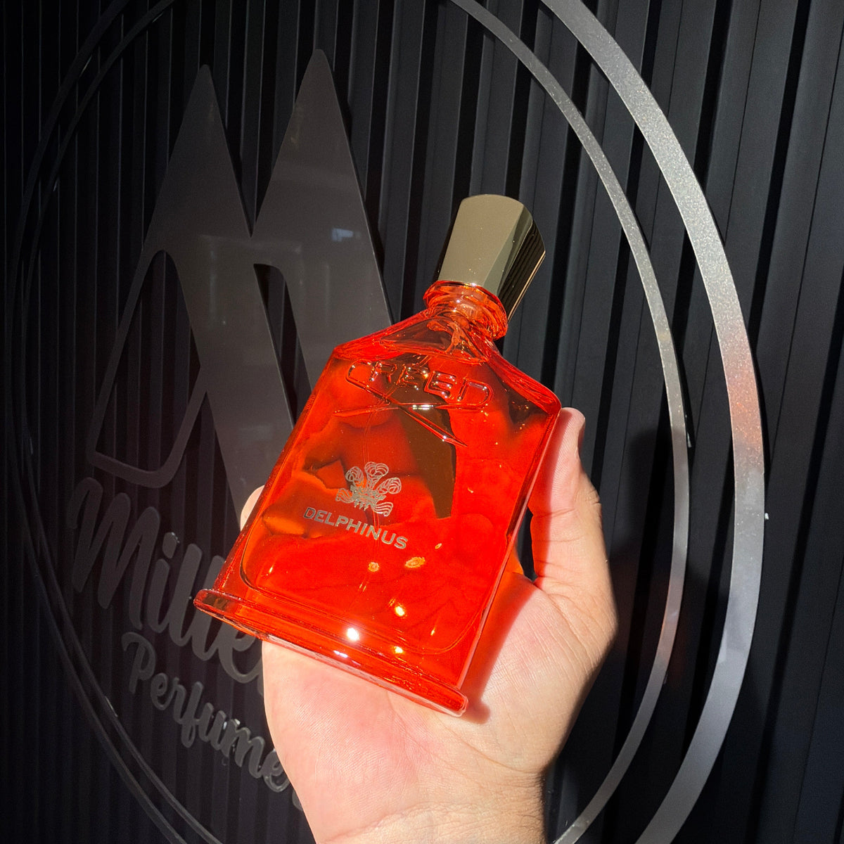 CREED Delphinus EDP 100ml | Perfume Unisex Nicho Oriental Amaderado