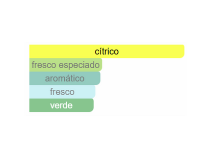 PERFUME ARMAF ODYSSEY LIMONI