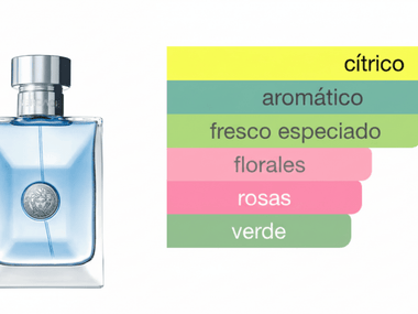 PERFUME VERSACE POUR HOMME - Perfumería Millennio