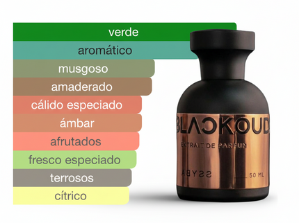 PERFUME BLACKOUD ABYSS
