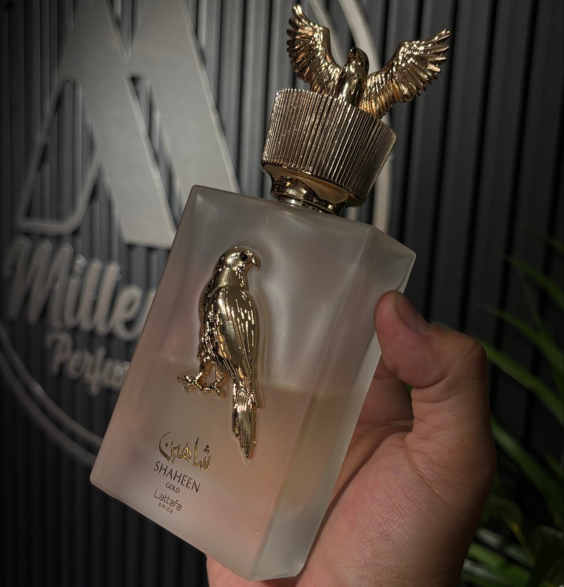 PERFUME LATTAFA SHAHEEN GOLD - Perfumería Millennio