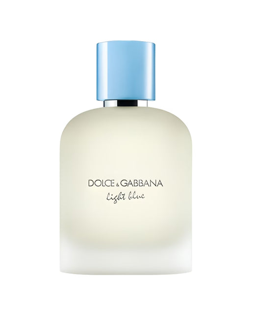 PERFUME DOLCE & GABBANA LIGHT BLUE POUR HOMME