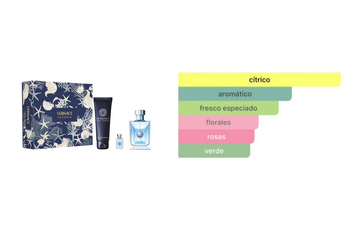 ESTUCHE VERSACE POUR HOMME 3 PIEZAS: imagen original del estuche y acordes principales del perfume, tabla literal de Fragrantica.